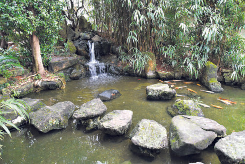 Jardim Oriental: refúgio para descanso e encontros no bairro da Liberdade - Jornal O São Paulo