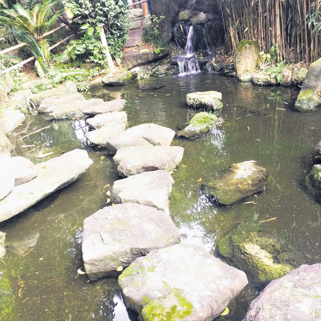 Jardim Oriental: refúgio para descanso e encontros no bairro da Liberdade - Jornal O São Paulo