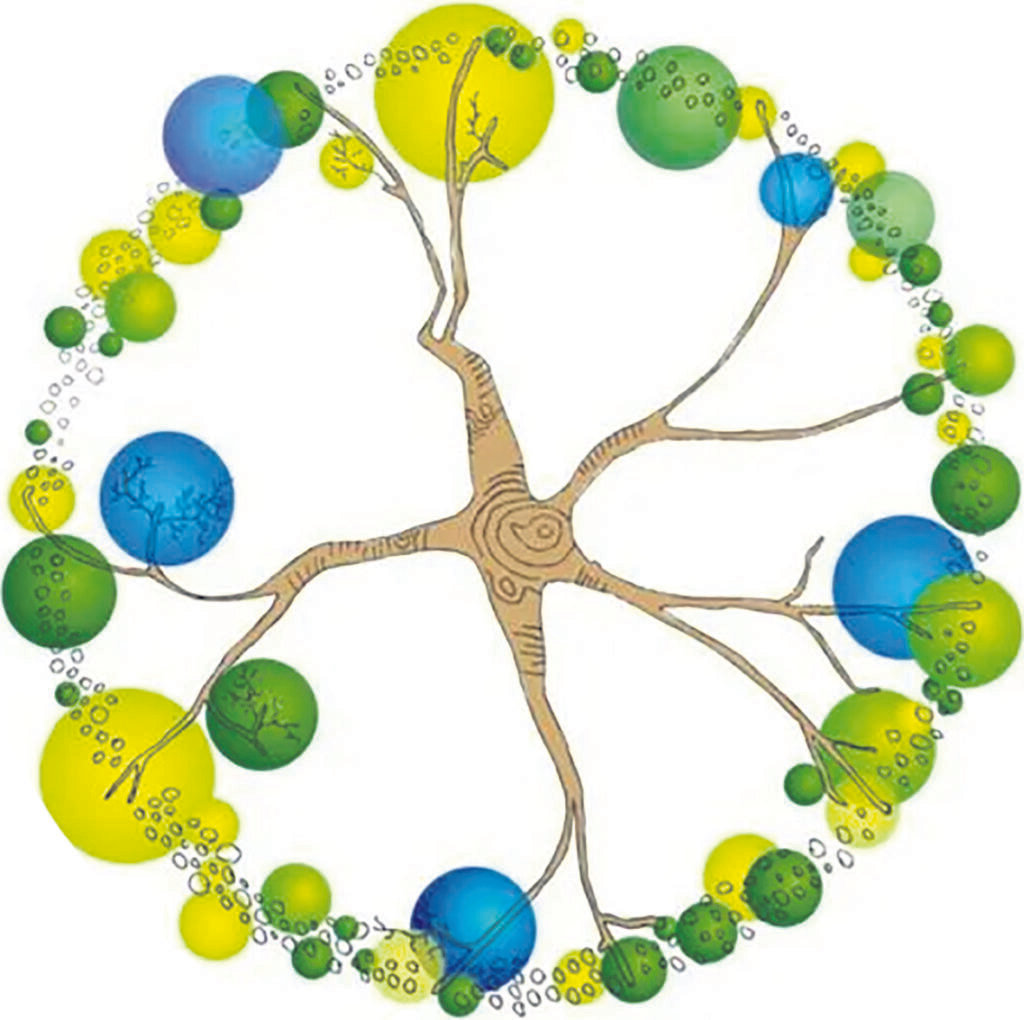 Cidadania e cuidado ambiental: a experiência dos plantios coletivos - Jornal O São Paulo