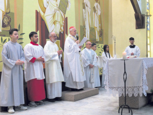 Santo Antônio é celebrado em paróquias da Região Santana - Jornal O São Paulo