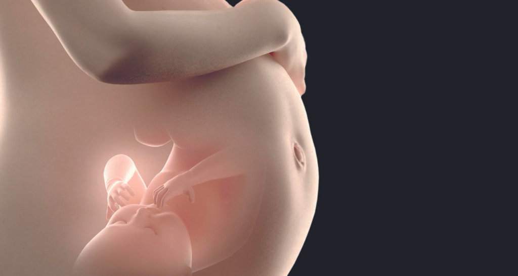 Não ao aborto. Sim à defesa da vida da mulher e do bebê - Jornal O São Paulo