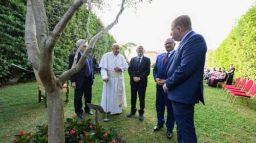 Papa: chega de guerra! Palestina e Israel vivam lado a lado - Jornal O São Paulo