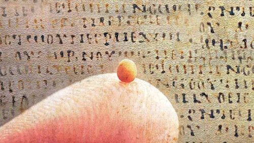 O Grão de Mostarda - Jornal O São Paulo