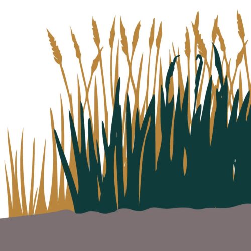 Apartados da verdade e entregues às fábulas - Jornal O São Paulo