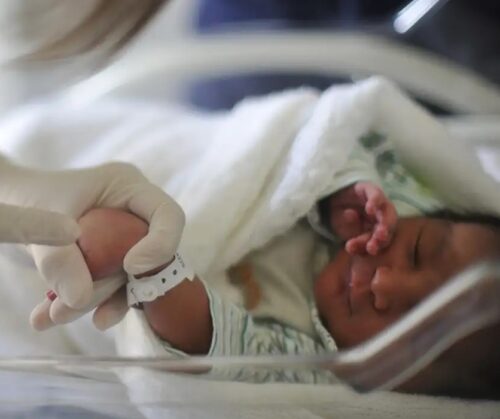 Complicações causadas por vírus sincicial respiratório crescem em 2024 - Jornal O São Paulo