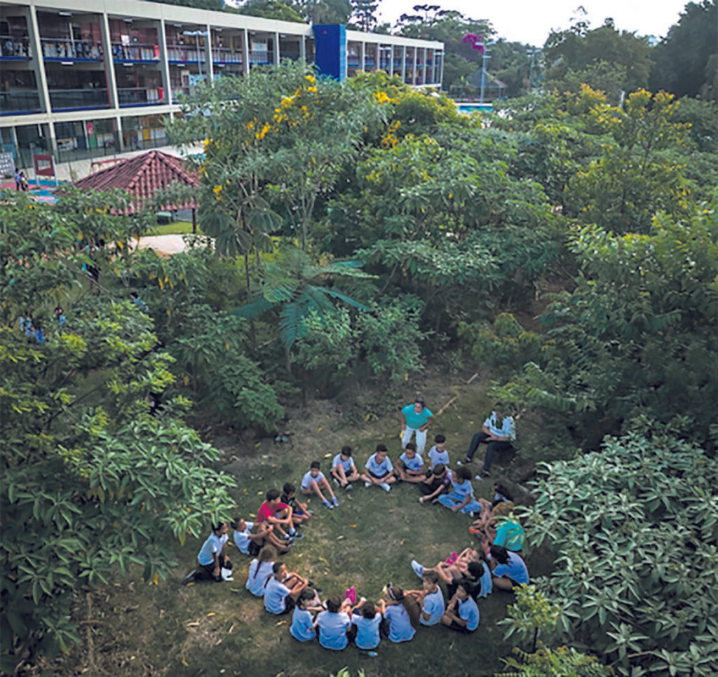 ‘Formiguinhas’ em ação: crianças transformam espaços de escolas públicas de SP em miniflorestas - Jornal O São Paulo