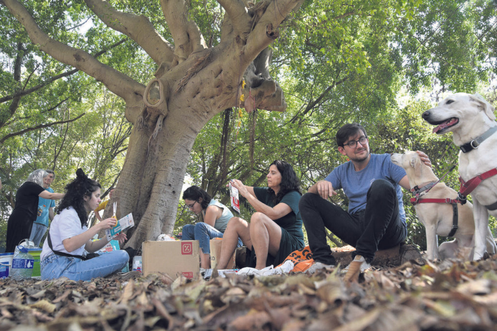 Programa Ecobairro: um encontro de transformação e de educação socioambiental - Jornal O São Paulo