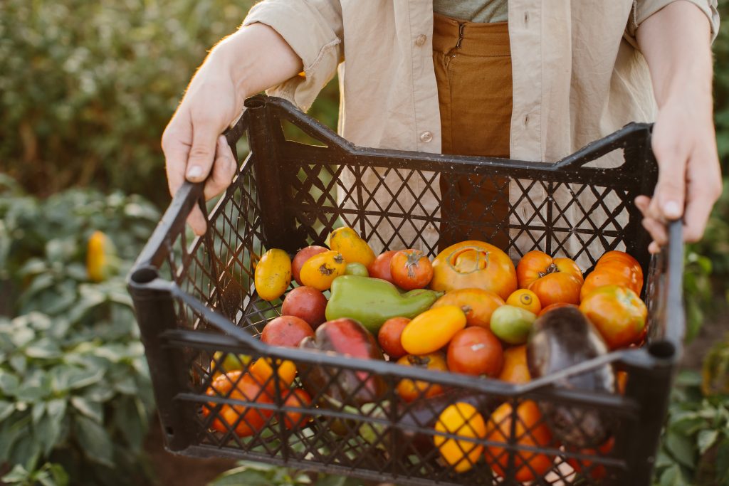 Com o apoio da CNBB, Pacto contra a Fome enfatiza combate ao desperdício de alimentos - Jornal O São Paulo