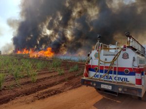 Defesa Civil de SP estende alerta de risco elevado para incêndios para todo o estado - Jornal O São Paulo