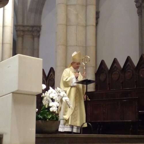 Dom Carlos Lema: ‘Os professores, como educadores, devem desejar se parecer com Jesus’ - Jornal O São Paulo