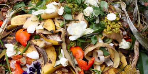 Coreia do Sul recicla mais de 97% de seus resíduos alimentícios - Jornal O São Paulo