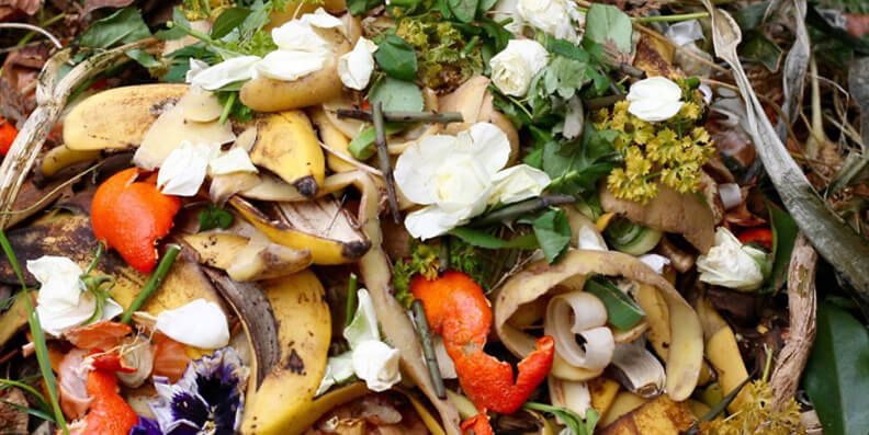 Coreia do Sul recicla mais de 97% de seus resíduos alimentícios - Jornal O São Paulo