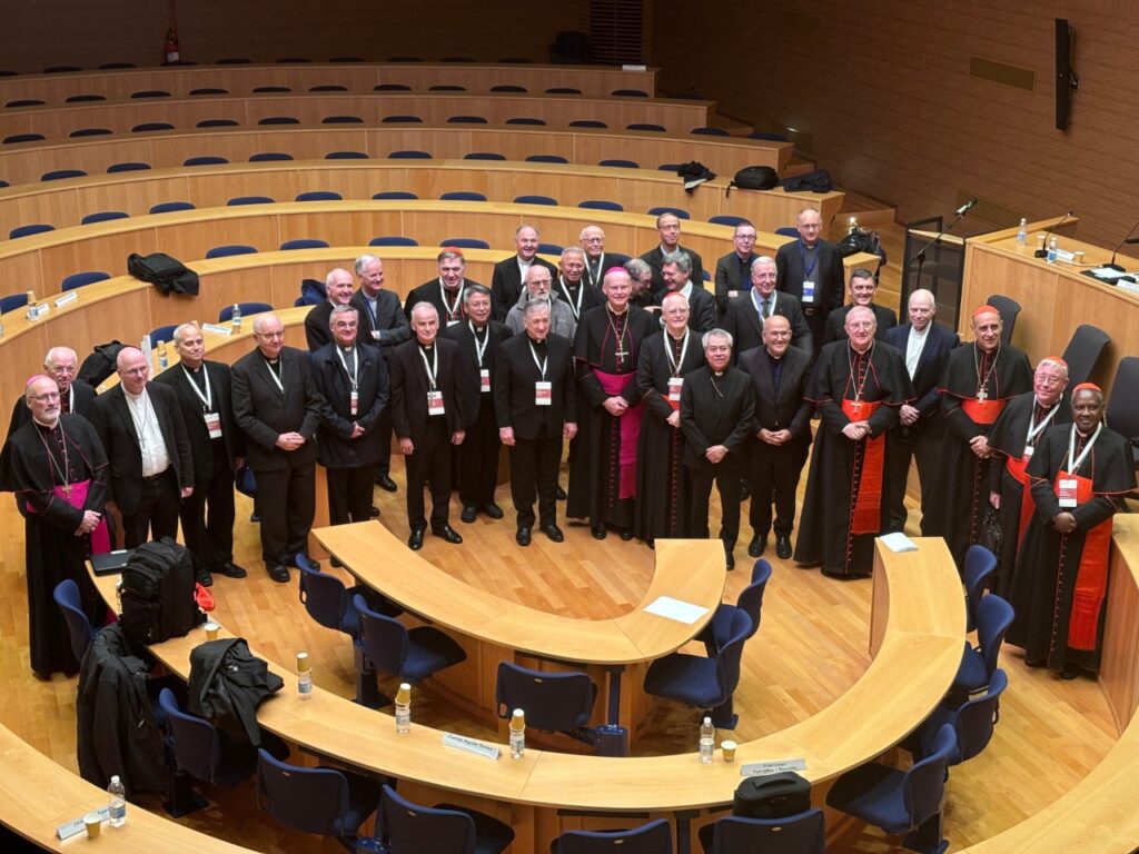 Inteligência artificial e transição digital são temas da Plenária do Dicastério para a Cultura e a Educação - Jornal O São Paulo