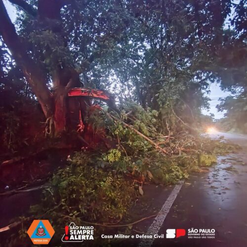 Defesa Civil de SP alerta para chuvas intensas durante o feriado de Natal - Jornal O São Paulo