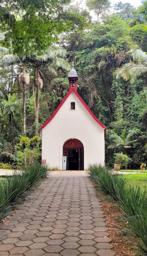 No dia 29, peregrinação à Catedral da Sé marcará o início do Jubileu na Arquidiocese  - Jornal O São Paulo