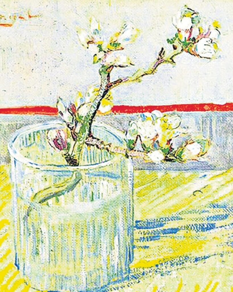 Pelo caminho da beleza, abrindo o coração para viver o Jubileu - Jornal O São Paulo