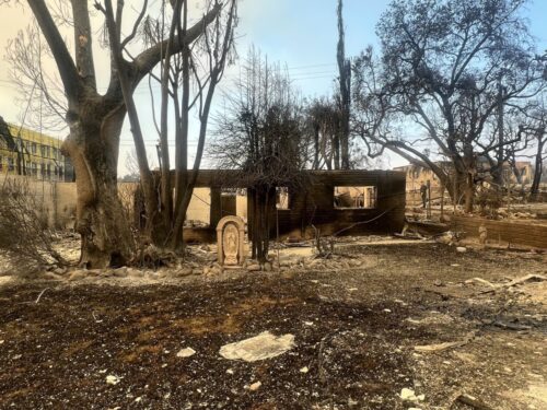 O apelo à solidariedade às vítimas dos incêndios em Los Angeles - Jornal O São Paulo