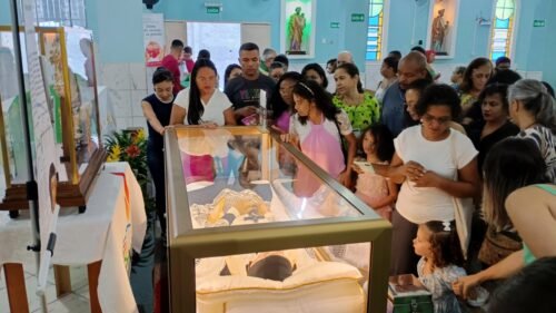 Relíquias de São Vicente de Paulo peregrinam por paróquias da Região Lapa - Jornal O São Paulo