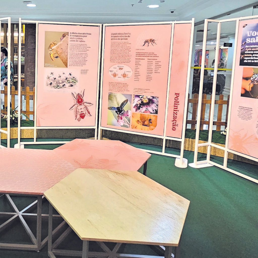 A educação ambiental fomentada a partir de bons hábitos para todas as idades - Jornal O São Paulo