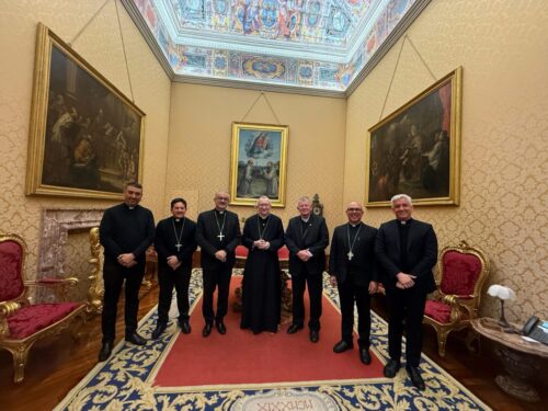 Cardeal Parolin sobre audiência com a CNBB: “momento de comunhão entre a Igreja do Brasil e a Santa Sé” - Jornal O São Paulo