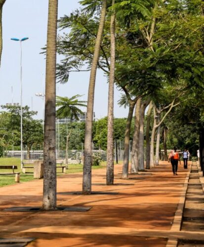 Parques de SP têm programação gratuita com natureza e cultura no Carnaval - Jornal O São Paulo