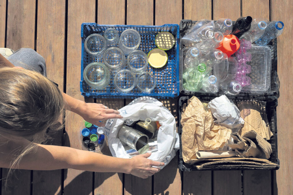 Rumo à conversão ecológica, contam os passos individuais e os feitos em conjunto - Jornal O São Paulo