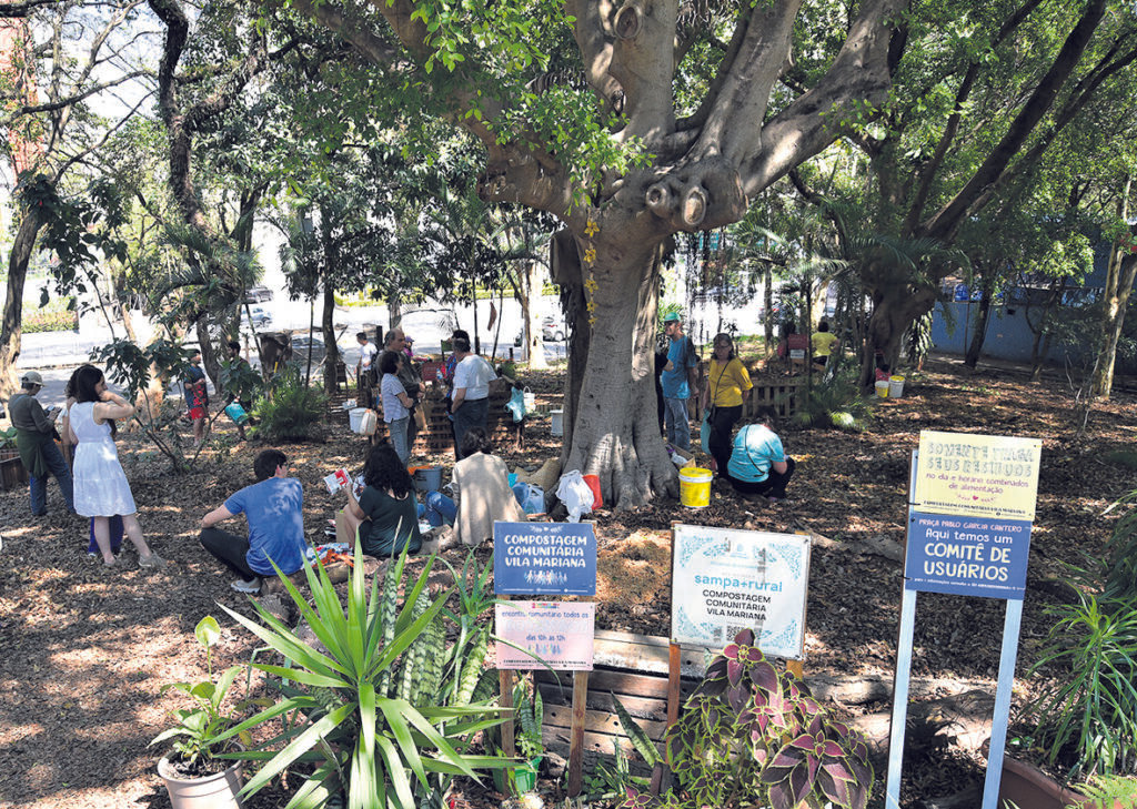 Rumo à conversão ecológica, contam os passos individuais e os feitos em conjunto - Jornal O São Paulo