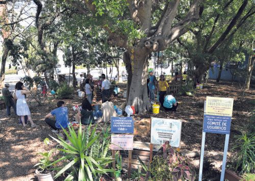 Rumo à conversão ecológica, contam os passos individuais e os feitos em conjunto - Jornal O São Paulo