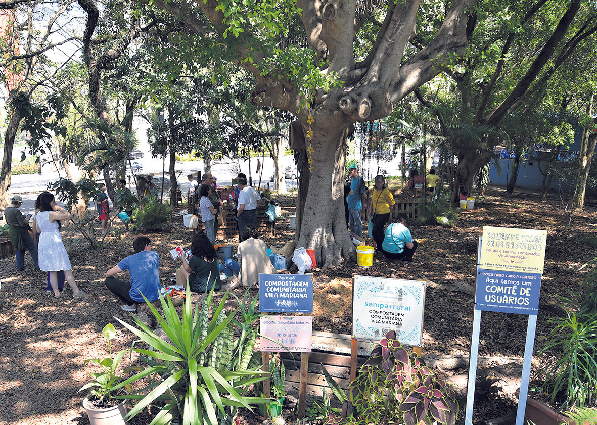 Rumo à conversão ecológica, contam os passos individuais e os feitos em conjunto - Jornal O São Paulo