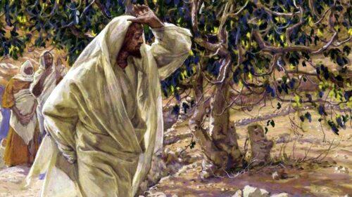 Certo homem tinha uma figueira - Jornal O São Paulo