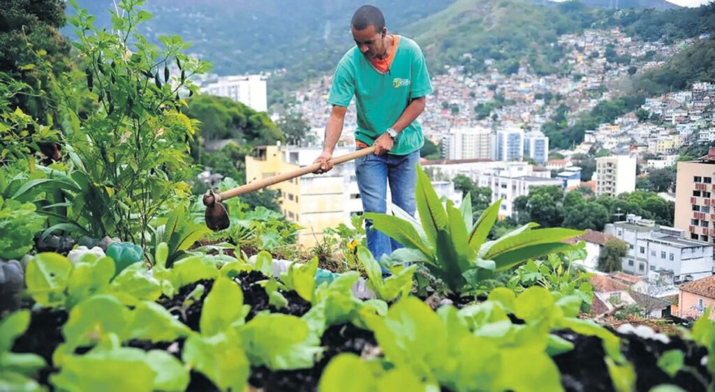 ‘Ecologia Integral’: o que significa o tema da Campanha da Fraternidade deste ano? - Jornal O São Paulo