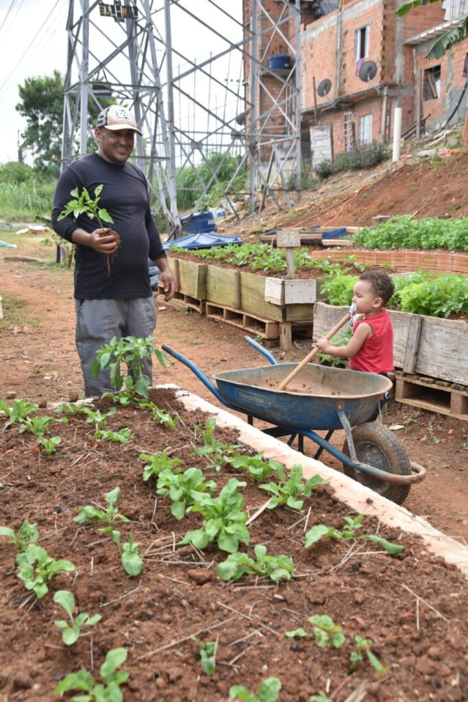 Favela Haiti 3D: um projeto que dialoga com os ideais da Ecologia Integral - Jornal O São Paulo