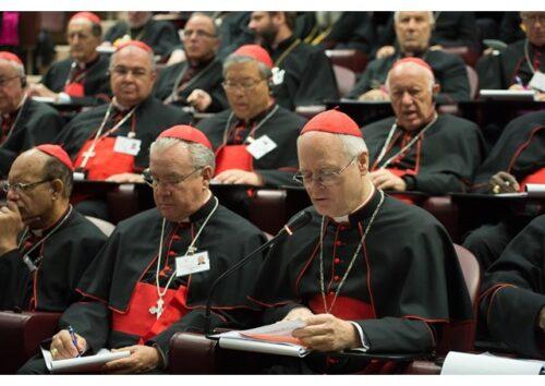 Dom Odilo explica o papel das congregações gerais na escolha do novo Papa - Jornal O São Paulo