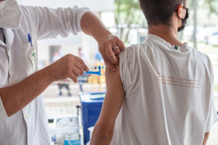 Anvisa aprova vacina contra chikungunya do Instituto Butantan - Jornal O São Paulo