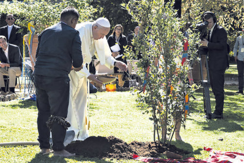 Laudato si’: há 10 anos, um novo patamar de reflexões sobre o cuidado da Casa Comum - Jornal O São Paulo