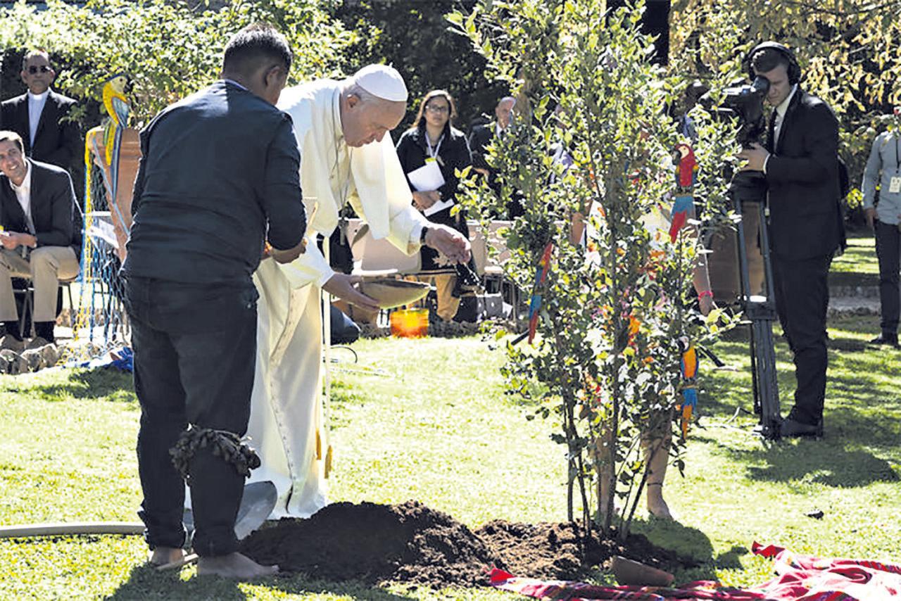 Laudato si’: há 10 anos, um novo patamar de reflexões sobre o cuidado da Casa Comum - Jornal O São Paulo