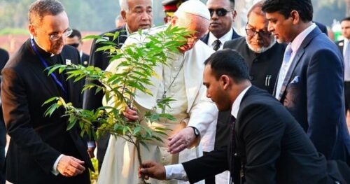 A responsabilidade dos cristãos no cuidado da Casa Comum - Jornal O São Paulo