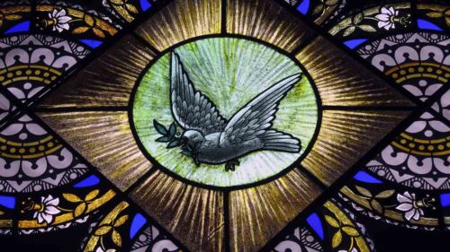 Um espírito de graça e de oração - Jornal O São Paulo