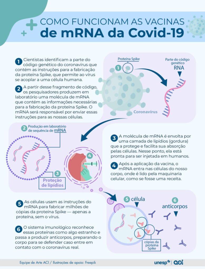Programas de vacinação revolucionaram a saúde no Brasil e no mundo, mas a queda no uso de imunizantes preocupa a OMS - Jornal O São Paulo