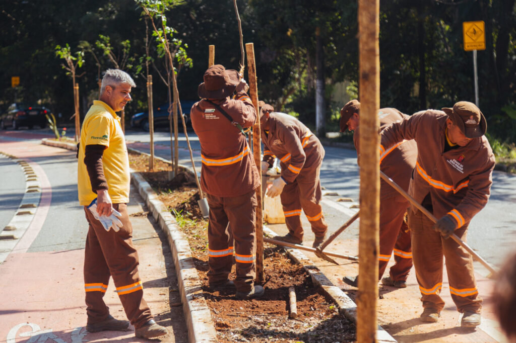 No Butantã, uma proposta ambiental para renovar a paisagem urbana - Jornal O São Paulo