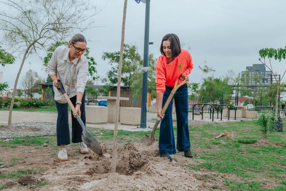 As experiências com corredores verdes em 3 cidades do mundo - Jornal O São Paulo