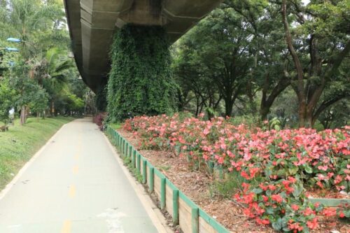 As experiências com corredores verdes em 3 cidades do mundo - Jornal O São Paulo