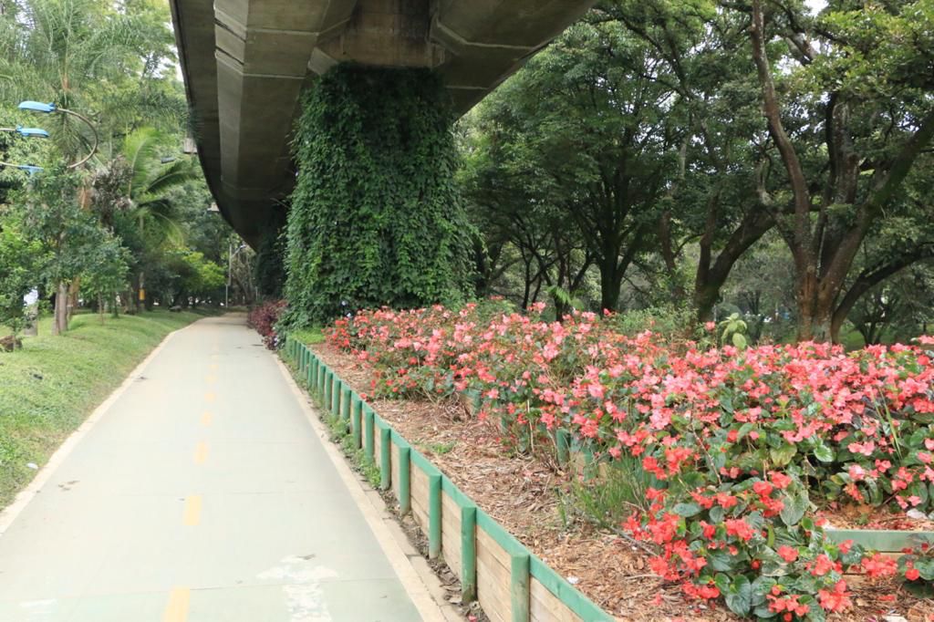 As experiências com corredores verdes em 3 cidades do mundo - Jornal O São Paulo