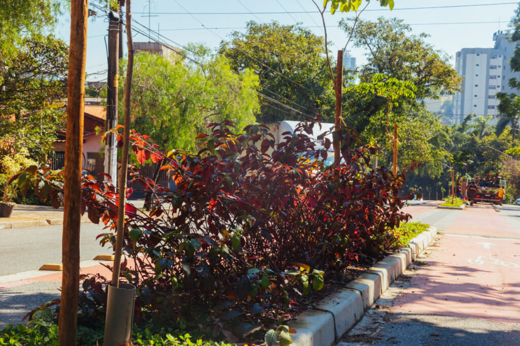 No Butantã, uma proposta ambiental para renovar a paisagem urbana - Jornal O São Paulo