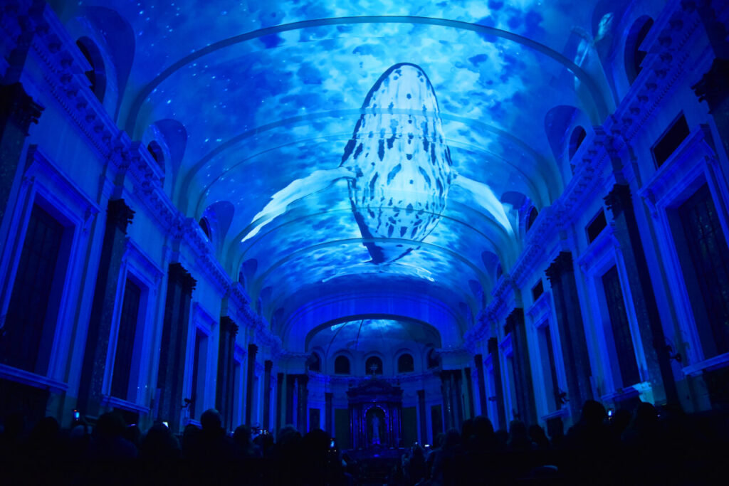 ‘Gênesis’: um espetáculo imersivo de luzes na Paróquia São Luís Gonzaga - Jornal O São Paulo