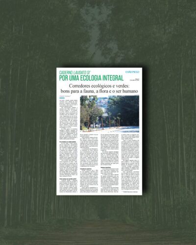 Cidades têm melhorias ambientais com corredores ecológicos e verdes - Jornal O São Paulo