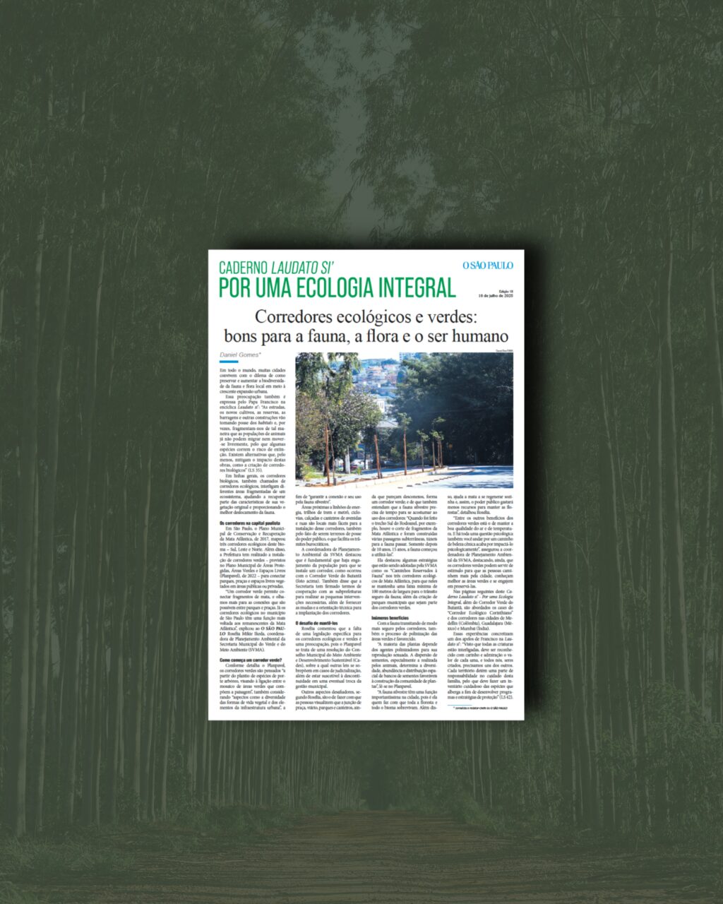 Cidades têm melhorias ambientais com corredores ecológicos e verdes - Jornal O São Paulo
