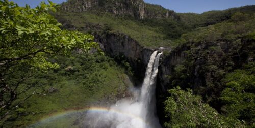 Câmara aprova projeto que altera regras de licenciamento ambiental - Jornal O São Paulo