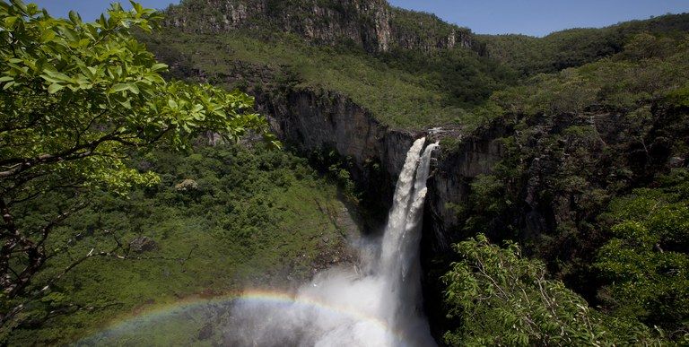 Câmara aprova projeto que altera regras de licenciamento ambiental - Jornal O São Paulo