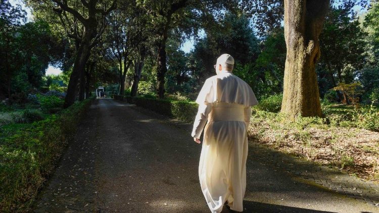 Papa: rezemos pela conversão de quem ignora o cuidado com a casa comum - Jornal O São Paulo